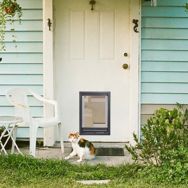 Cat door hot sale house